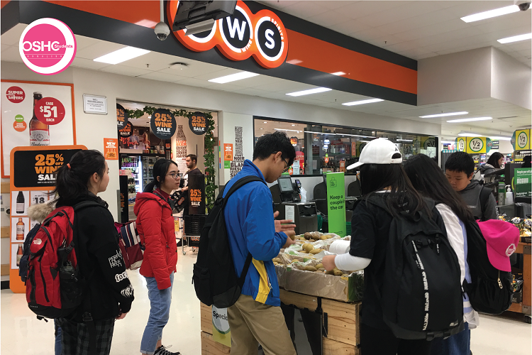 Summer study tour Annalink - OSHCstudents 2018