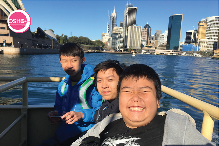 Summer study tour Annalink - OSHCstudents 2018