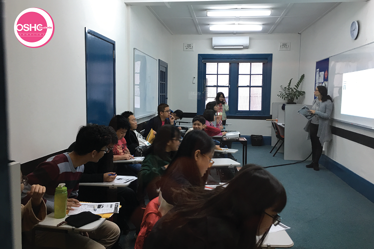 Summer study tour Annalink - OSHCstudents 2018