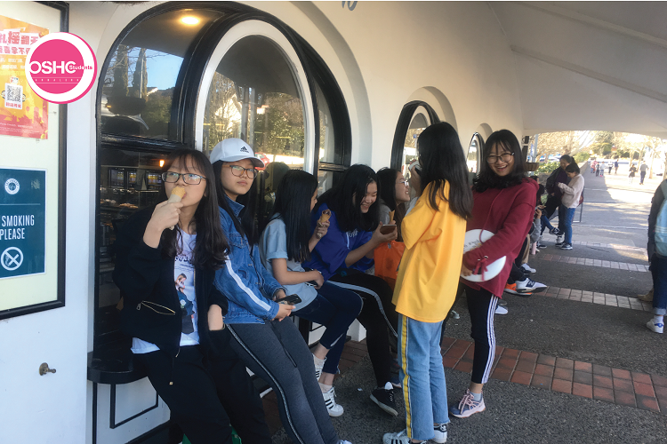 Summer study tour Annalink - OSHCstudents 2018